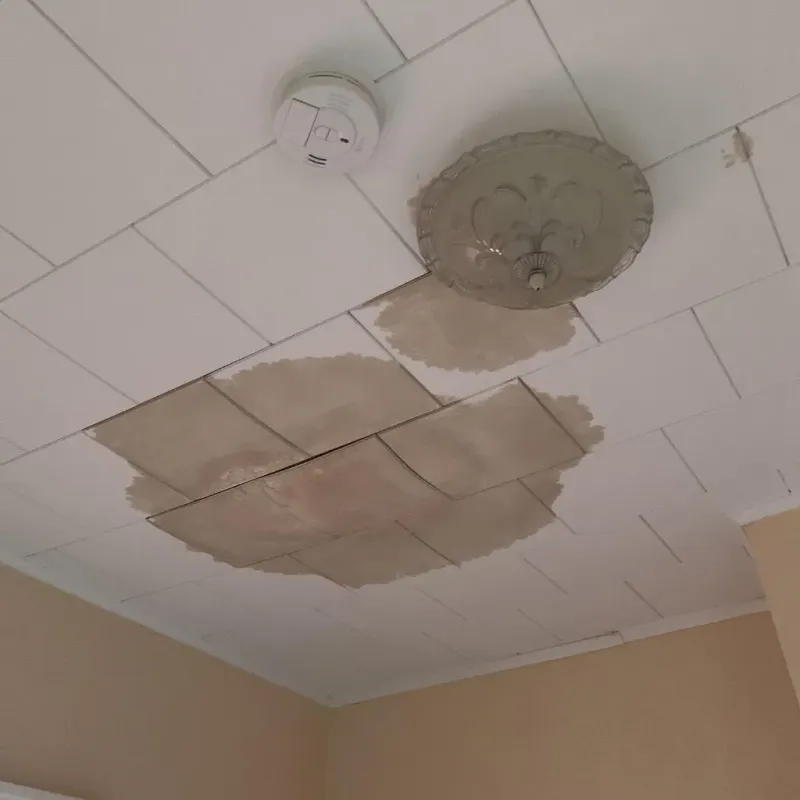 Ceiling Water Damage Repair in Canton, PA