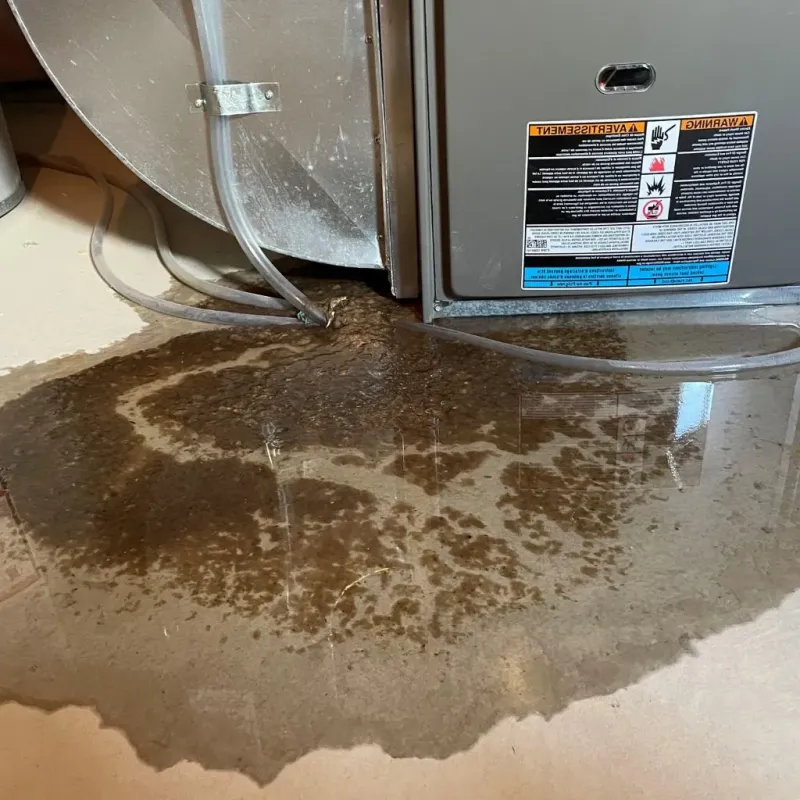 Pipe Burst and Leak Restoration in Canton, PA